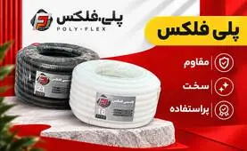 پلی فلکس